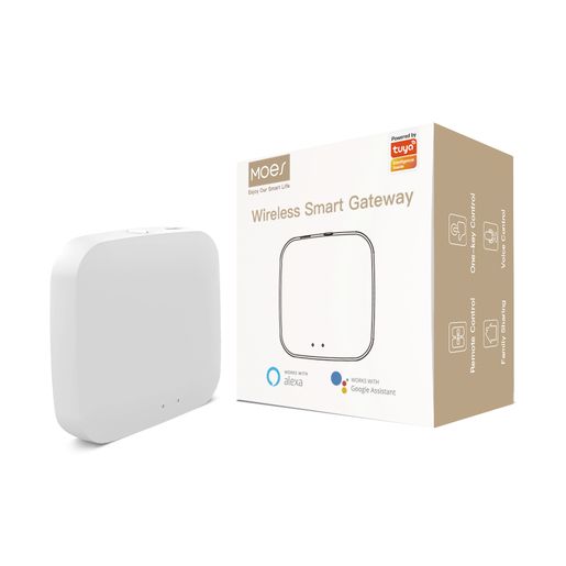 Moes Multi-mode Gateway WLAN